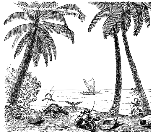 Рисунок 123. Крабы — пальмовые воры (Birgus latro).