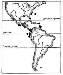 Рисунок 124. Амфиамериканское распространение горгониевого коралла Muricea.