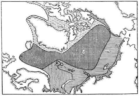 Рисунок 133. Биогеографическое районирование арктической области: I — абиссальная арктическая подобласть; II — нижнеарктическая мелководная подобласть; III — высокоарктическая мелководная подобласть с её дальнейшими подразделениями; IIIа — морская провинция, в которую входят: IIIа1 — сибирский район; IIIа2 — северо-американско-гренландский район; III б — солоноватоводная провинция.
