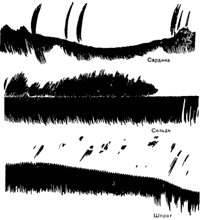 Рисунок 176. Разные сигналы на ленте самописца от стаи рыб.