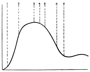 Рисунок 180. Схематическое изображение хода развития акклиматизированной формы в новом ареале: 1–3 — фазы первоначального бурного развития; 4–6 — последующее понижение количества; 6–7 — переход в стабильное состояние.