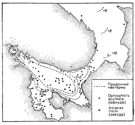Рисунок 209. Распределение в Белом море холодноводных и тепловодных форм (по Шорыгину).