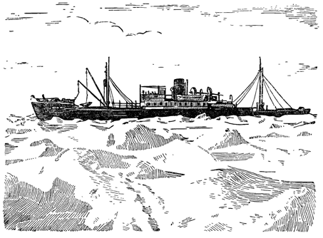 Рисунок 218. «Челюскин» в тяжёлых льдах Чукотского моря.