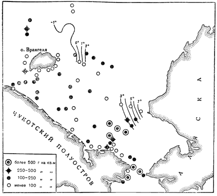 Рисунок 221. Количественное распределение донной фауны Чукотского моря (по Ушакову).