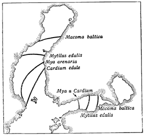 Рисунок 235. Границы распространения вглубь Балтийского моря различных морских двустворчатых моллюсков.