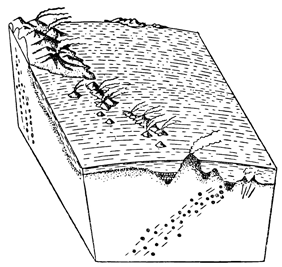 Рисунок 283. Блокдиаграмма Курило-Камчатской впадины.