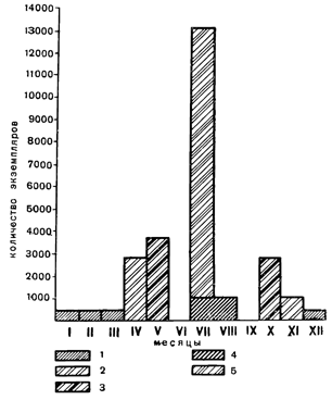 Рисунок 290. Сезонные изменения в количестве и составе фитопланктона Японского моря (по Гайлу): 1, 2, 3 — диатомеи; 4 и 5 — перидинеи.