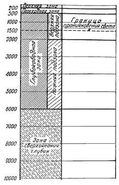 Рисунок 302. Вертикальная зональность в распределении планктона.