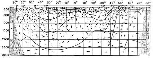 Рисунок 93. Глубинное распространение трёх массовых форм копепод на меридиональном разрезе вдоль Атлантического океана.