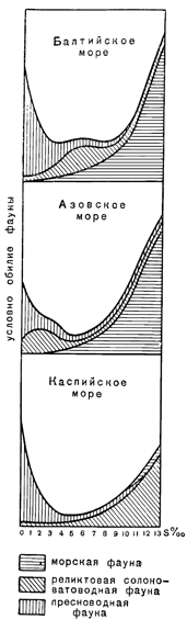 Рисунок 100. Распределение по солёности морской, солоноватоводной и пресноводной фаун в Балтийском, Каспийском и Азовском морях.