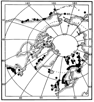 Рисунок 114. Ареал морской звезды Solaster endeca.