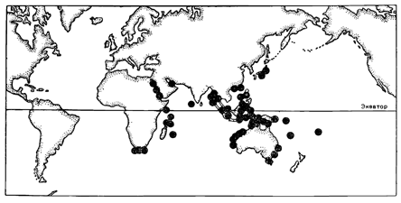 Рисунок 122. Распространение кораллов Melitodidae.