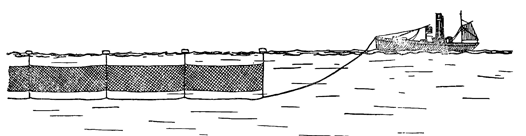 Рисунок 14. Плавные сети в море