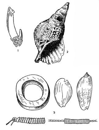 Рисунок 148. Разные предметы из раковин: 1 — рыболовный крючок; 2 — музыкальный инструмент; 3 — разные деньги.