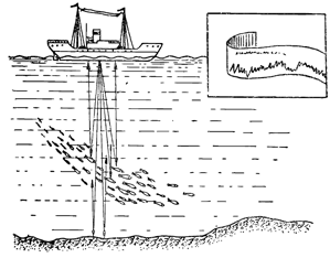 Рисунок 175. Стая рыбы может мешать работе эхолота и давать кривую на ленте самописца.