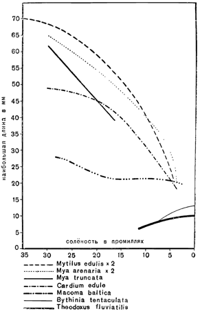 Рисунок 236. Уменьшение размеров тела животных с переходом вглубь Балтийского моря (первые пять кривых) и из пресной воды в море (последние две кривые).