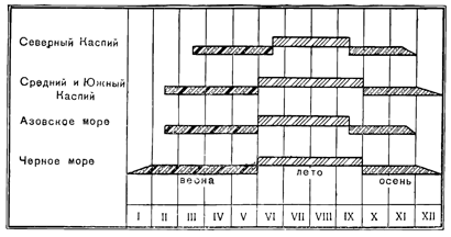 Рисунок 245. Вегетативный период и биологические сезоны в планктоне наших южных морей (по Усачёву).