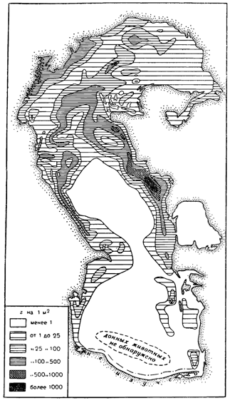 Рисунок 272. Распределение биомассы донной фауны Каспийского моря в 1935 г. (по Бирштейну, Брискиной и Рябчикову).
