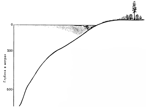 Рисунок 39. Растения моря и суши.