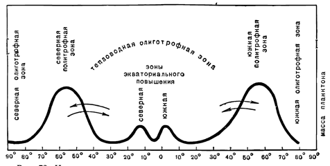 Рисунок 72. Изменения в плотности планктона на меридиональном разрезе вдоль океана.