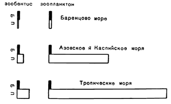 Рисунок 73. Соотношение биомассы (Б) и продукции (П) фауны различных морей.