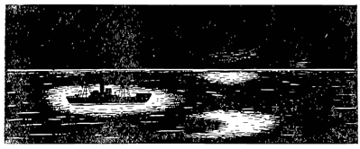 Свечение моря. Рисунок 169. Свечение моря.