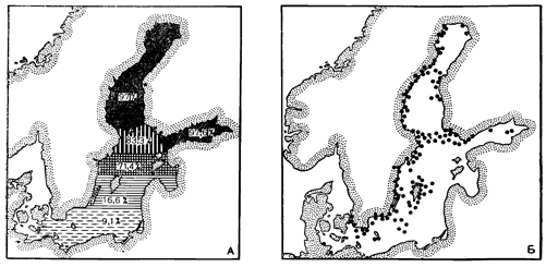 Распространение ракообразных Limnocalanus grimaldii (А), Pontoporeia affinis (Б) в Балтийском море. Рисунок 231. Распространение ракообразных Limnocalanus grimaldii (А), Pontoporeia affinis (Б) в Балтийском море.