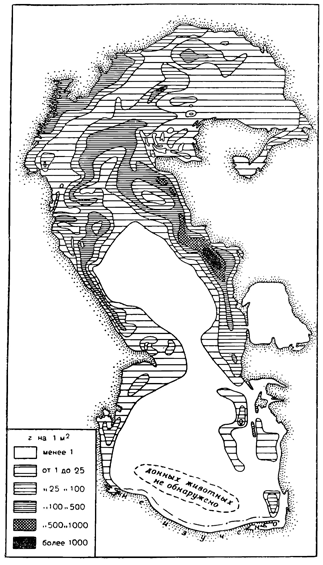 Распределение биомассы донной фауны Каспийского моря в 1935 г. (по Бирштейну, Брискиной и Рябчикову). Рисунок 272. Распределение биомассы донной фауны Каспийского моря в 1935 г. (по Бирштейну, Брискиной и Рябчикову).