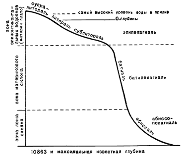 Расчленение склона морского дна. Рисунок 40. Расчленение склона морского дна.
