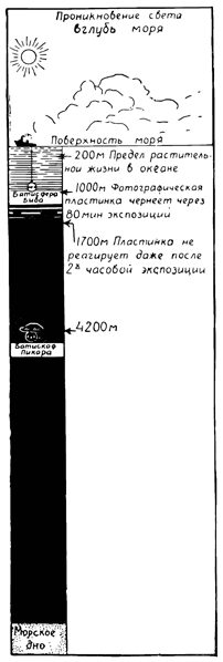 Проникновение света вглубь моря. Рисунок 49. Проникновение света вглубь моря.